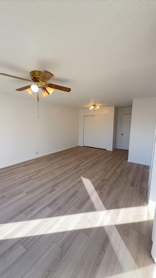 Building Photo - 1374 Maple Dr