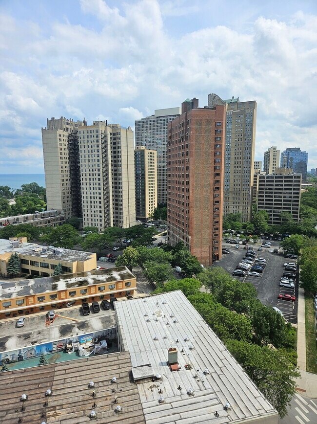 Building Photo - 4800 S Chicago Beach Dr