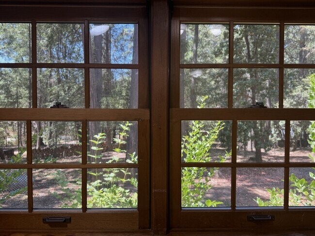 Building Photo - 13216 Tranquility Ln