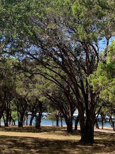 Building Photo - 21442 Coyote Trl