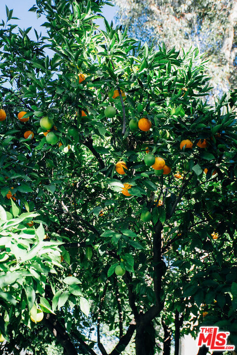 Building Photo - 13239 Addison St