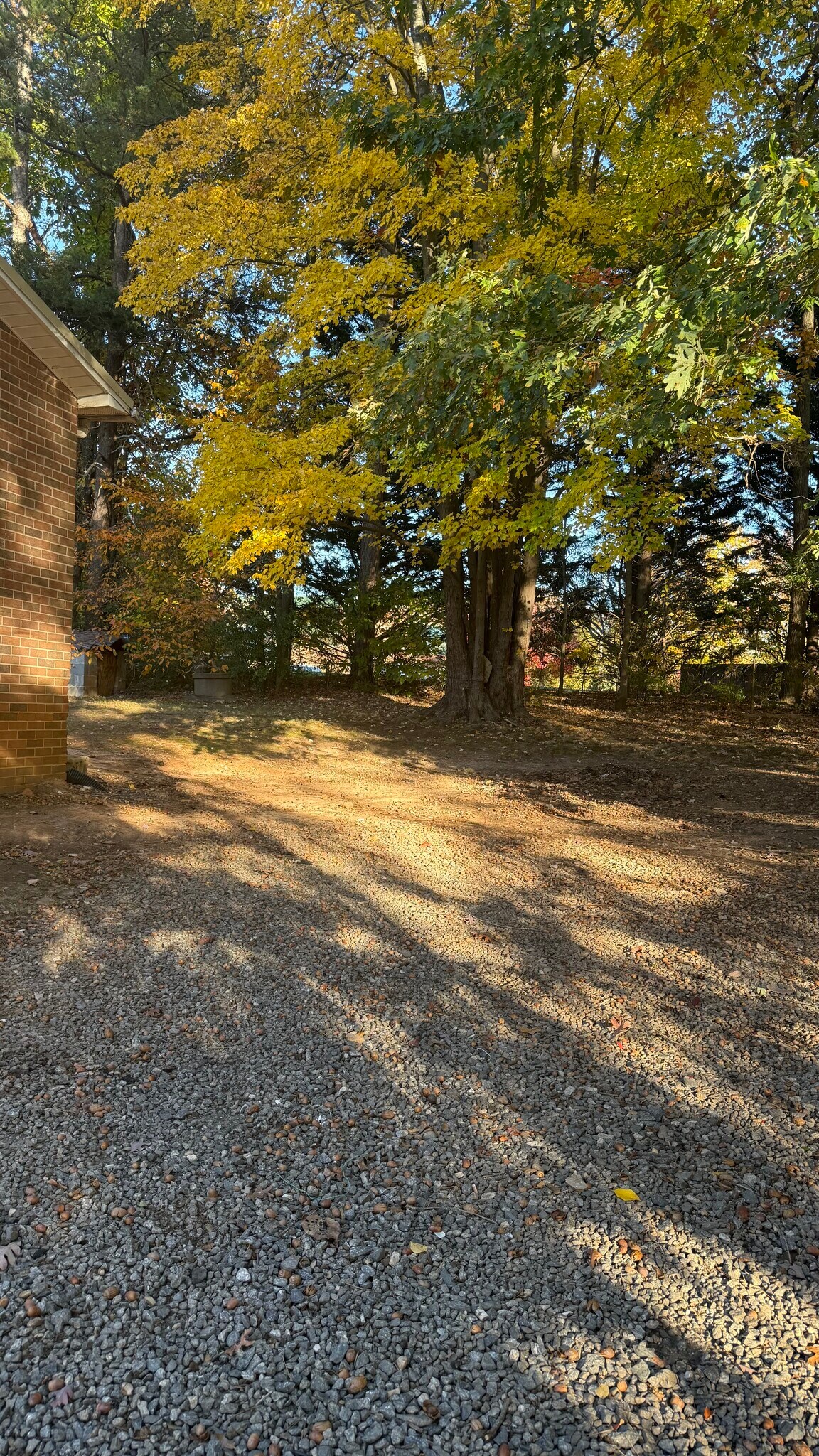 outdoor space - 255 16th Street Pl SE