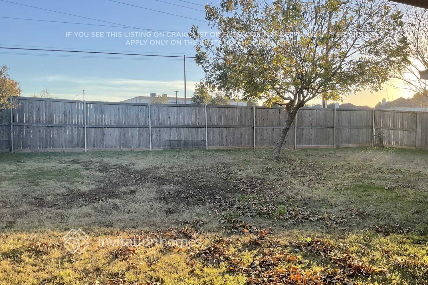 Building Photo - 1312 Tierra Calle