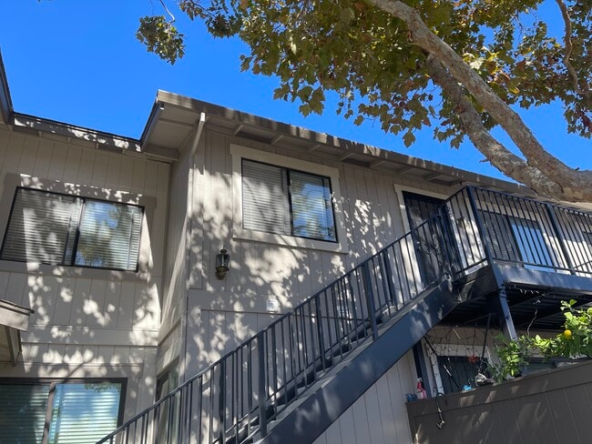 Building Photo - 204 Famoso Plaza