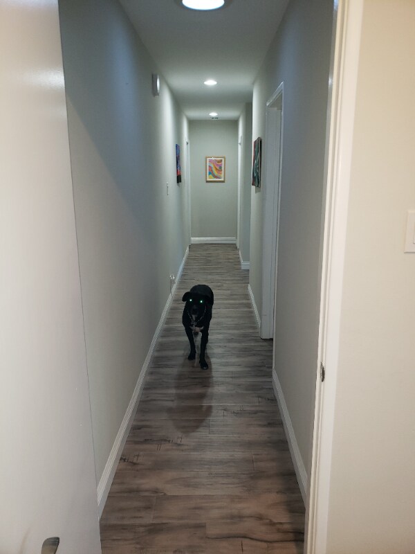 Building Photo - 3344 Petaluma Ave