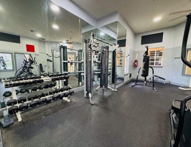 Building Photo - Stunning 2/2 Condo For Rent in Mirabella - Superb Location!