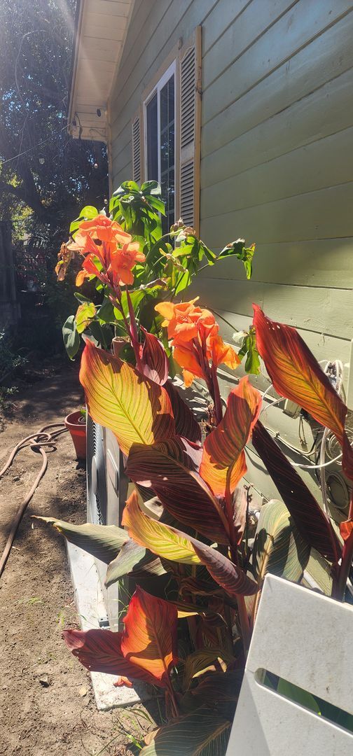 Building Photo - SLO Tropical Private Bungalow ideally located close to Cal Poly!