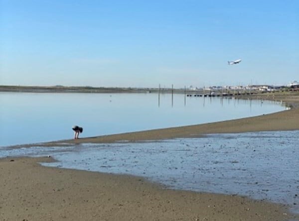 Building Photo - 643 Saratoga St