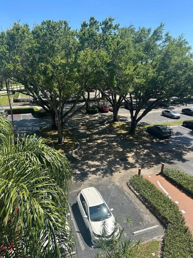 Building Photo - 1811 Sabal Palm Dr