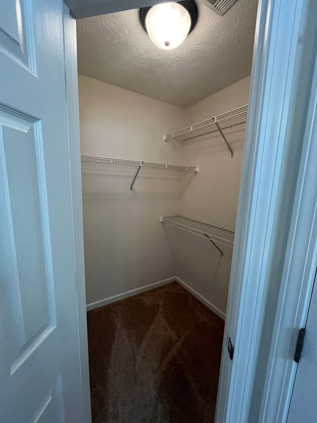 Building Photo - Discover the Perfect Blend of Comfort and ...