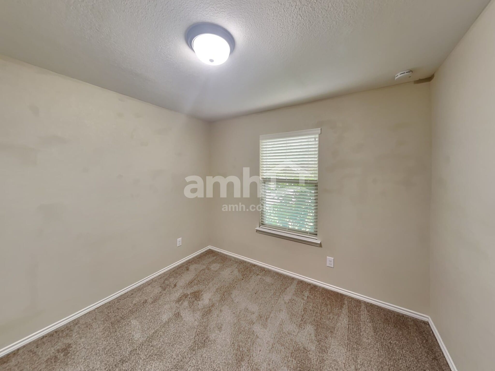 Building Photo - 9054 Canter Horse