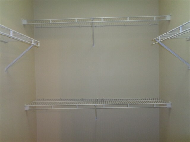 Building Photo - 6315 Rose Rush Ct