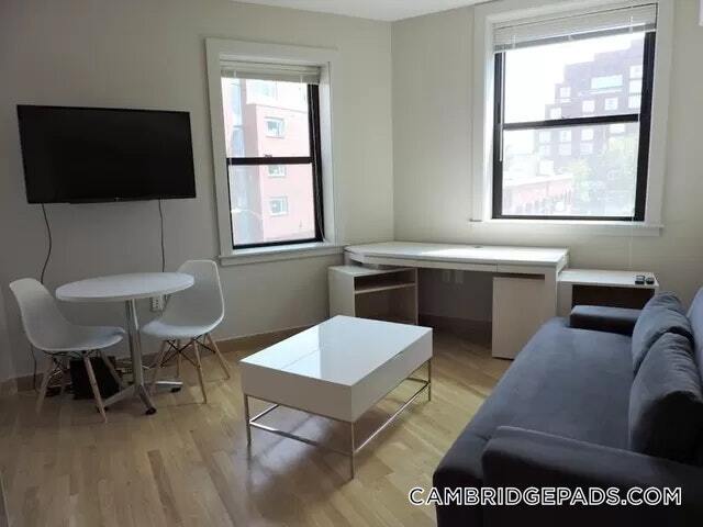 Building Photo - 115 Mt Auburn St