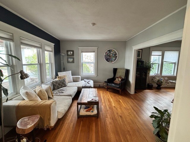 Living Room - 24 Teele Ave
