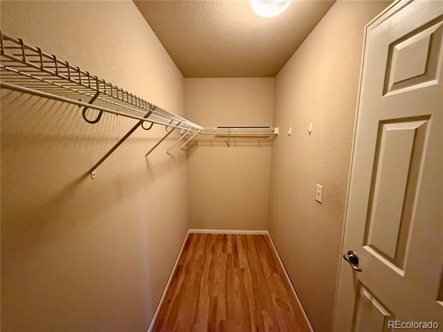 Building Photo - 161 Monares Ln