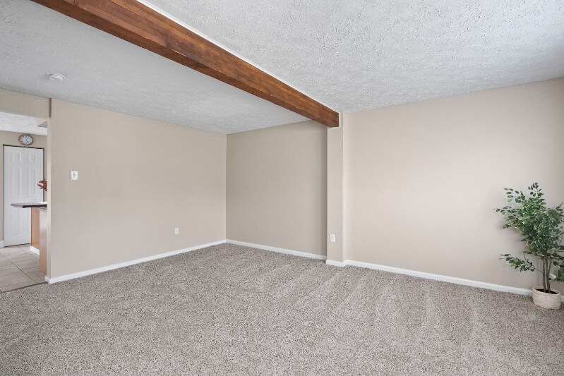 Building Photo - 131 Spruce Woods Ct