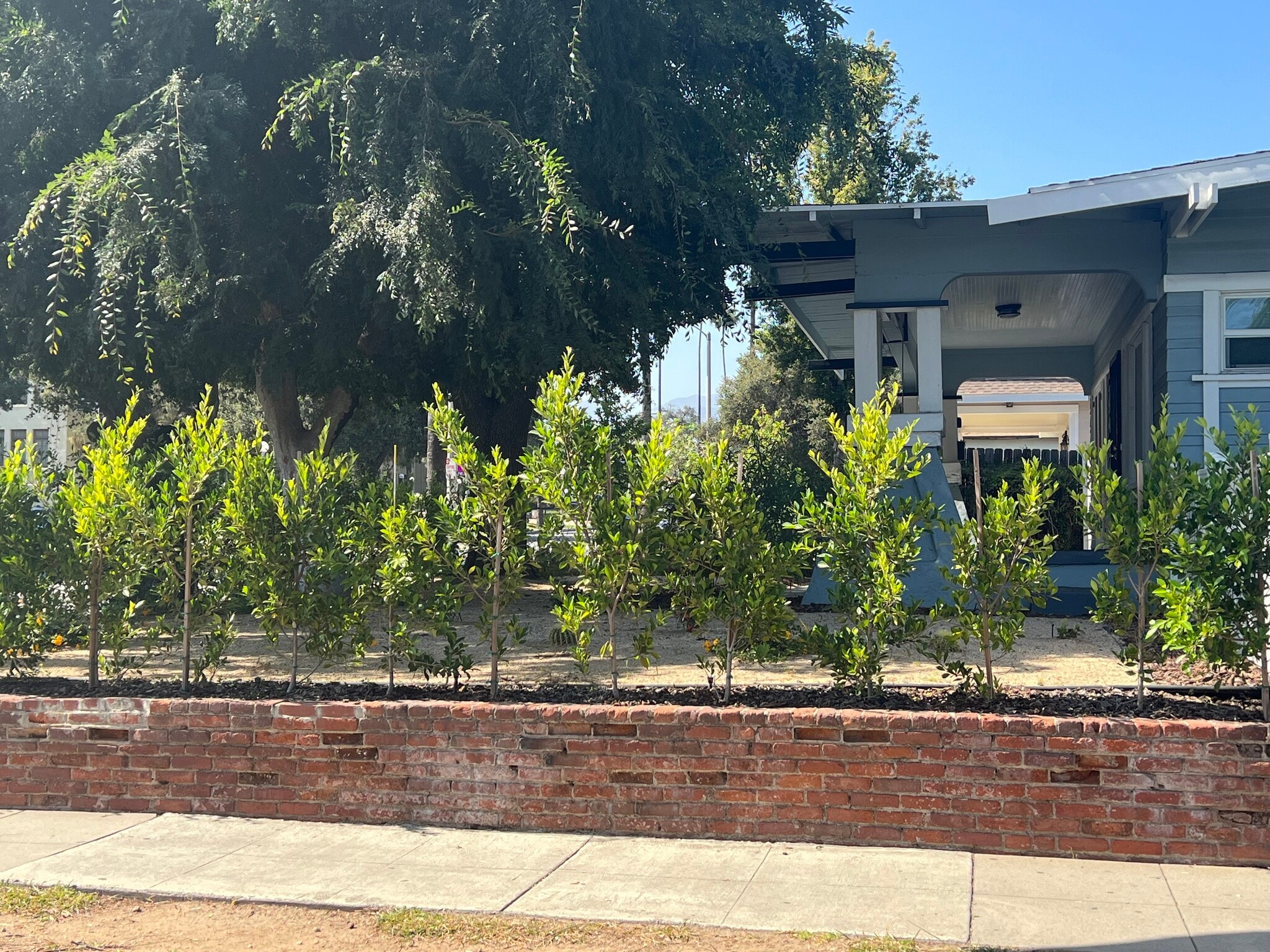 Building Photo - 1826 Lincoln Ave