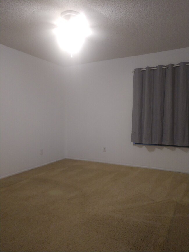 Building Photo - 2 Bedroom/2 Bath Palm Harbor Condo