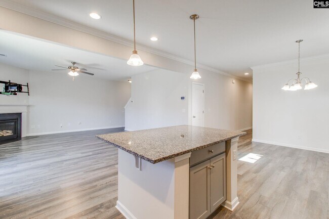 Building Photo - 246 Honey Hill Way