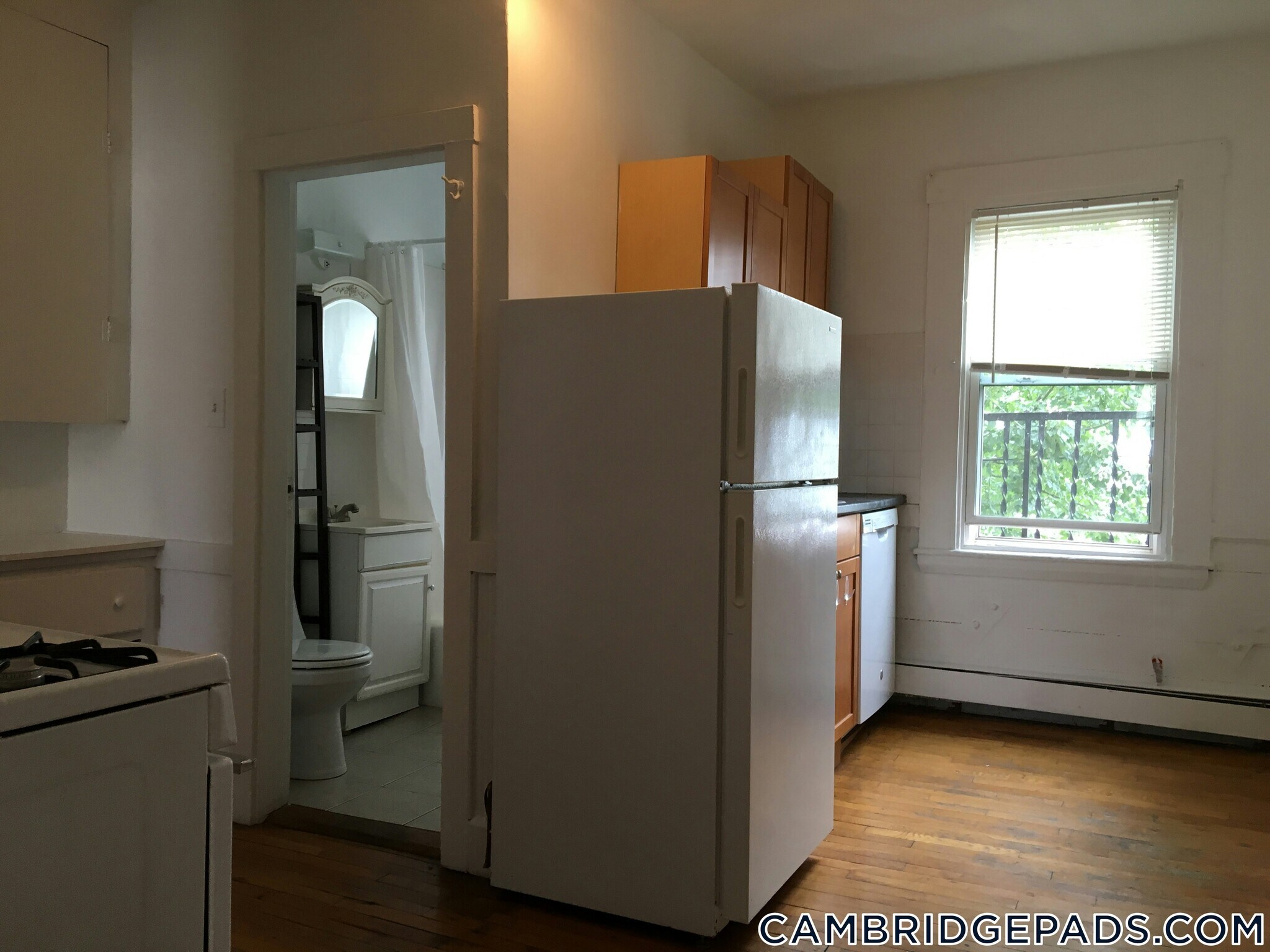 Building Photo - 148 5th St