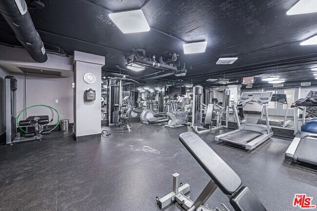 Gym - 141 S Clark Dr