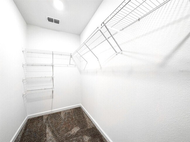 Building Photo - 26159 Feathergrass Cir