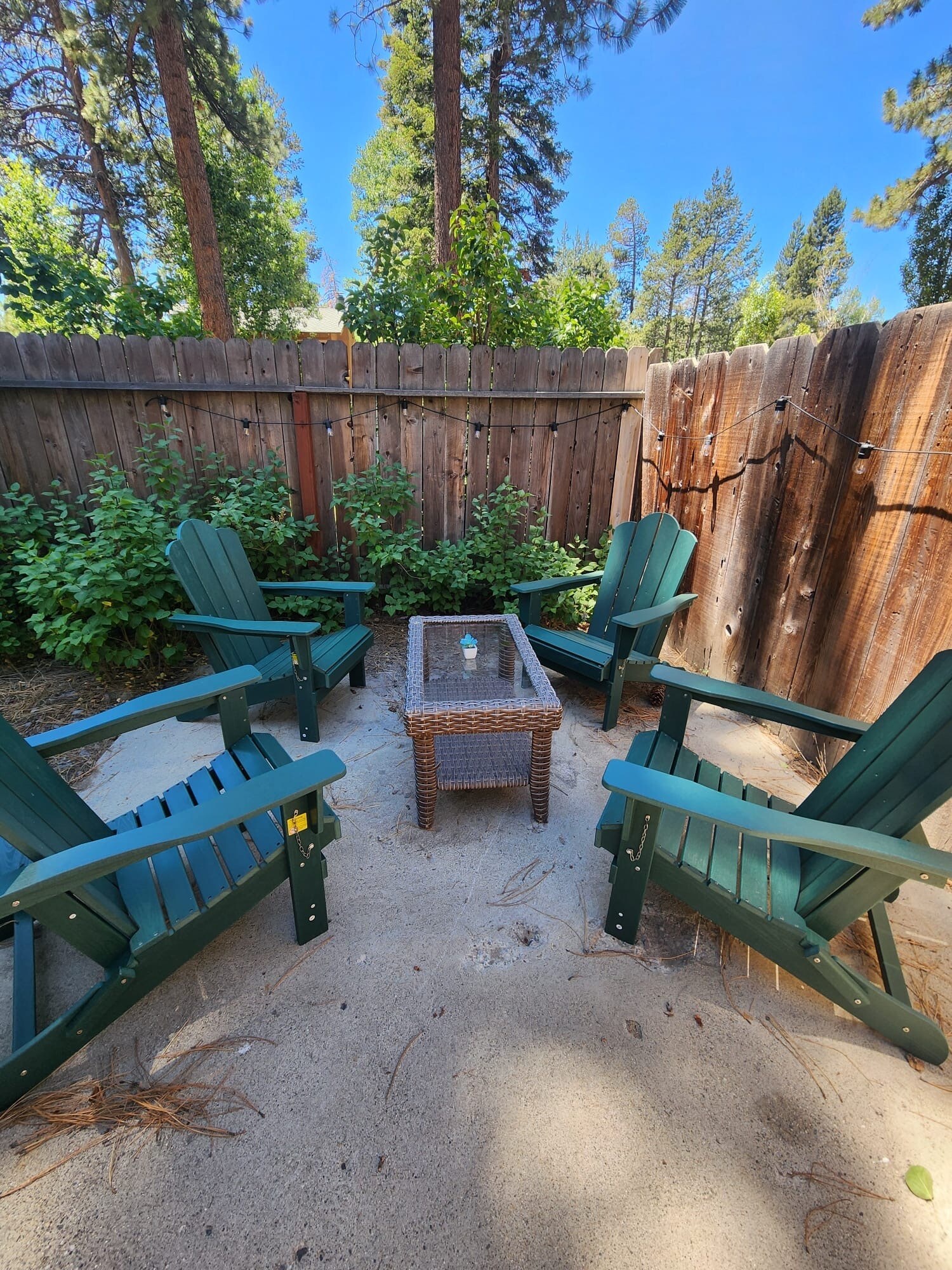 High quality adirondack chairs in the backyard - 842 Tahoe Keys Blvd