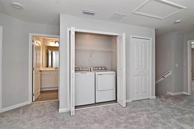 Building Photo - 4365 Campsite Lp