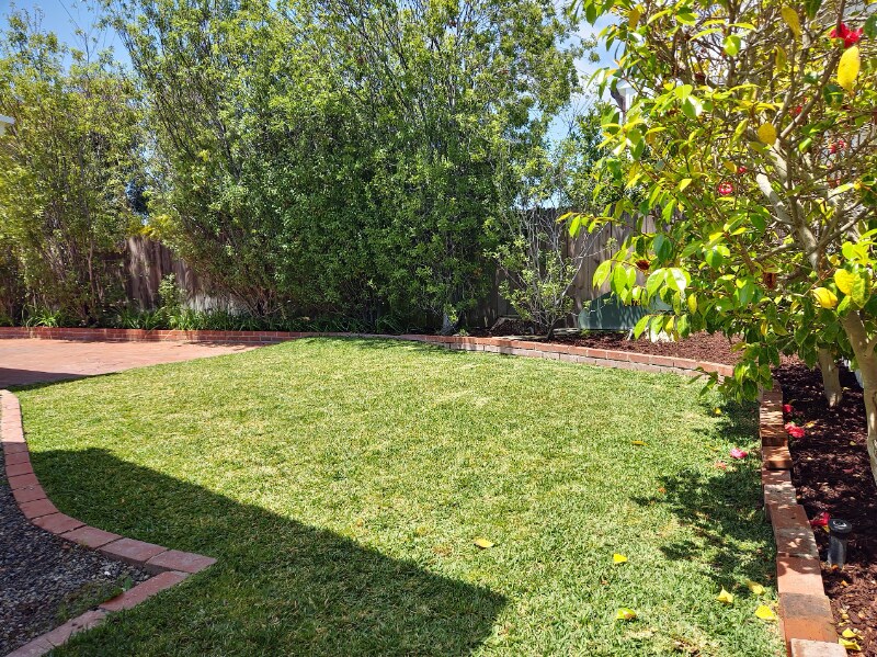 Building Photo - 1219 Essex Ln