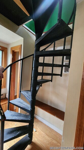 Building Photo - 54A Falkland St