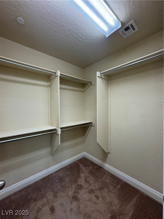 Building Photo - 2640 Courgette Way