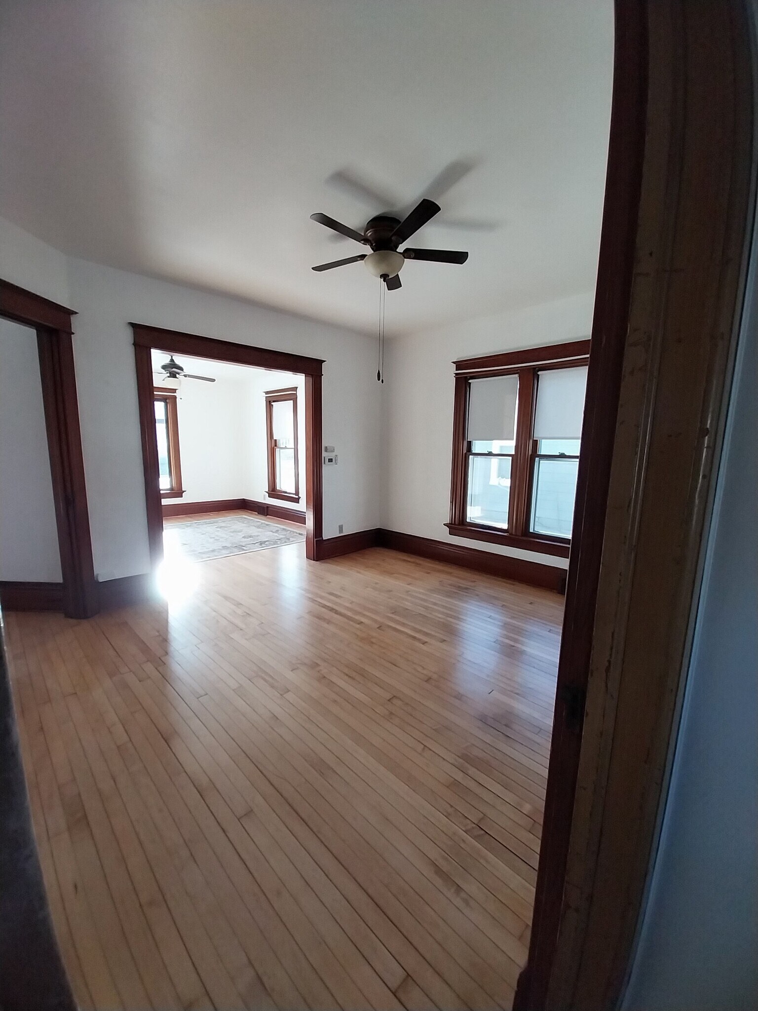 Dining room - 48 Baldwin St