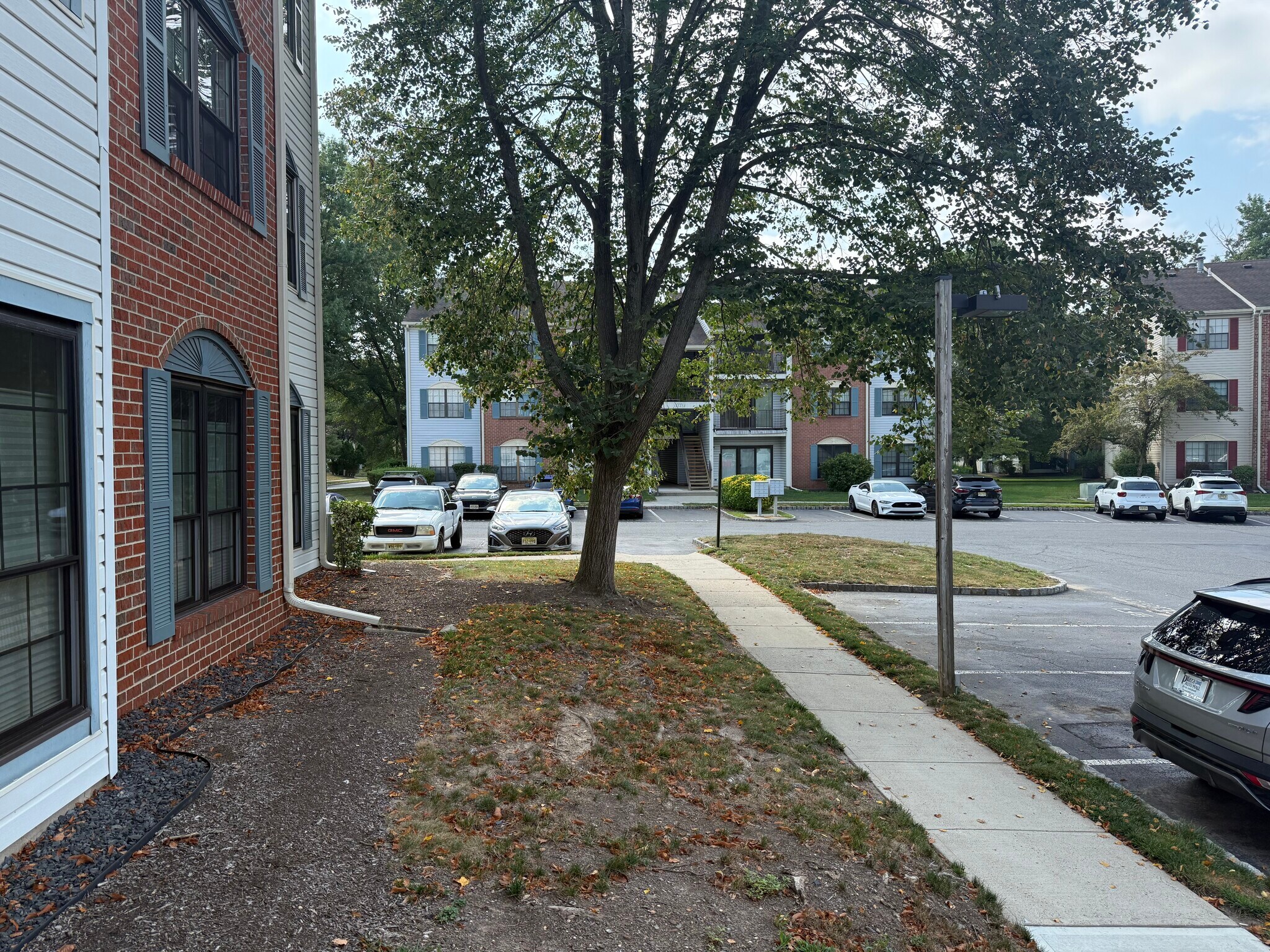 Building Photo - 49 Joyner Ct