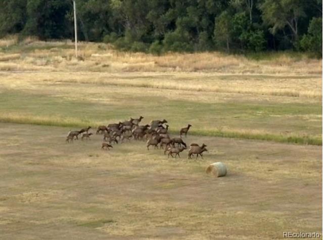 Building Photo - 9962 W Victoria Pl