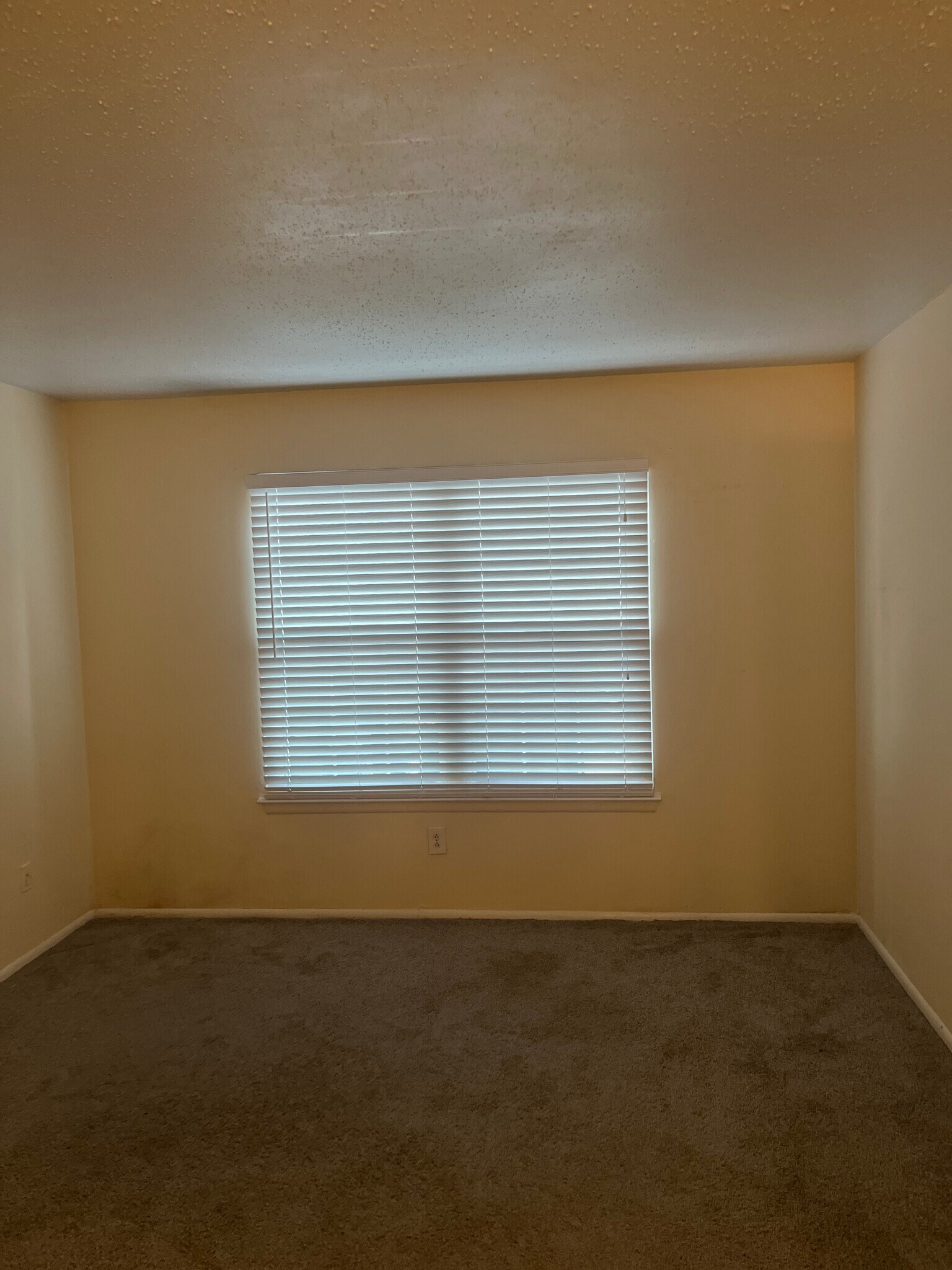 Building Photo - 308 Thalia Station Ct