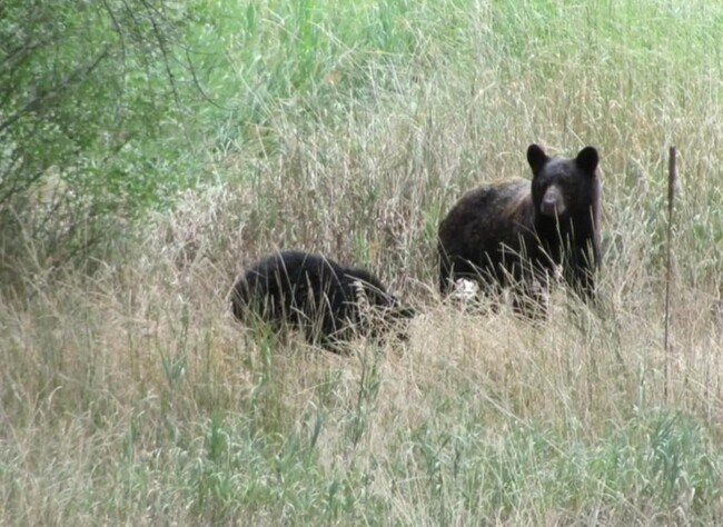 Building Photo - 8400 W County Rd 18E