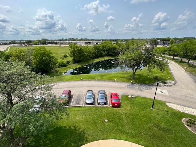 Building Photo - 350 Plum Creek Dr