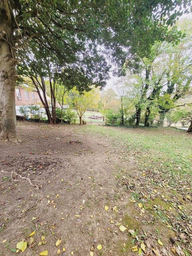 Building Photo - Beautiful Renovated Single Family Home!