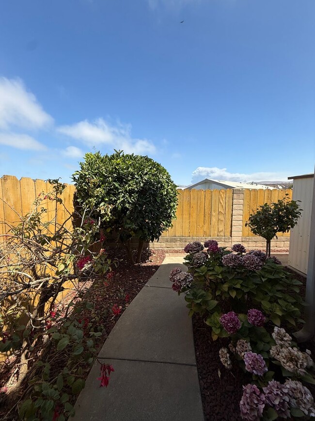Building Photo - Single Story Home On Cul-De-Sac Near Preisker Park