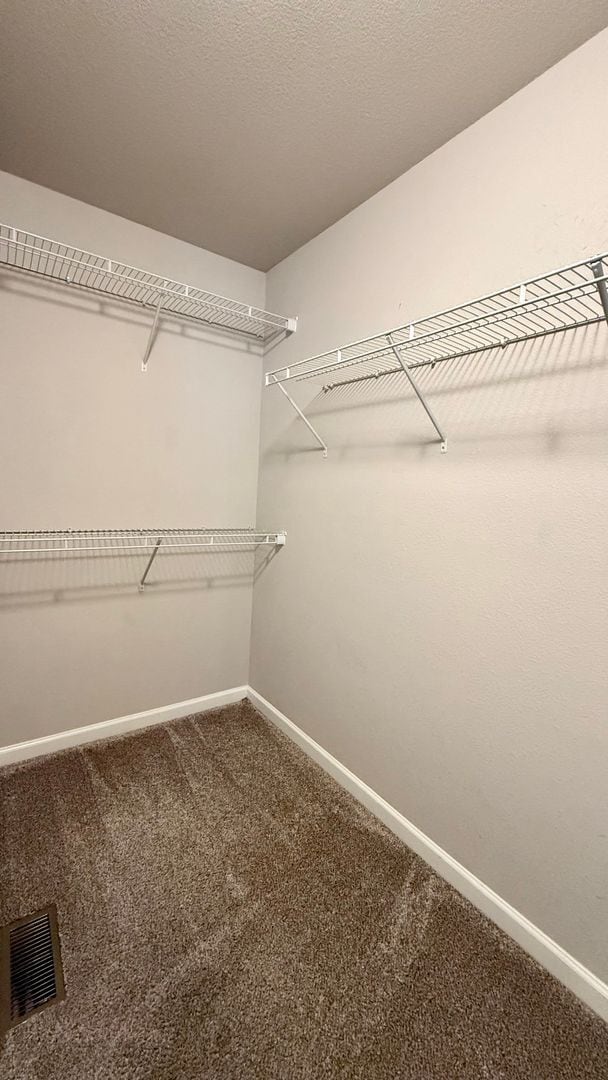 Building Photo - Move in ready on Birmingham!