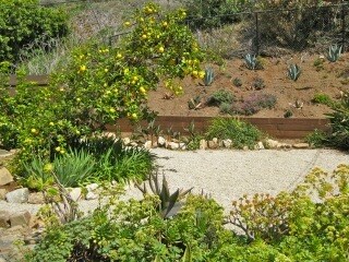 Building Photo - 22351 Pacific Coast Hwy