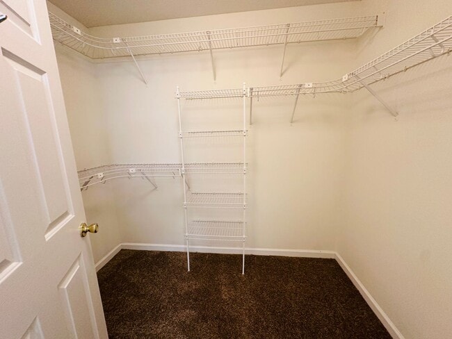 Building Photo - 4 Bedroom 3 Bath House