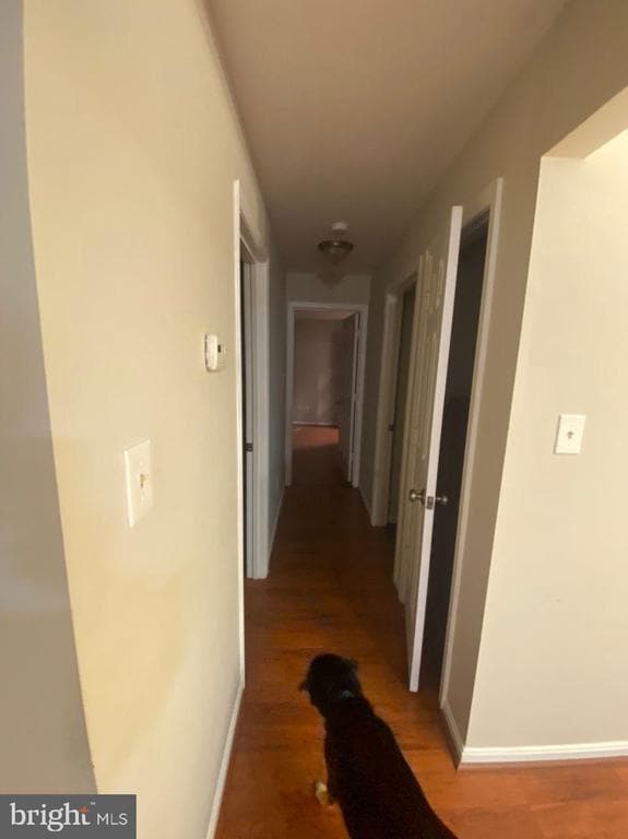 Building Photo - 11717 Karbon Hill Ct