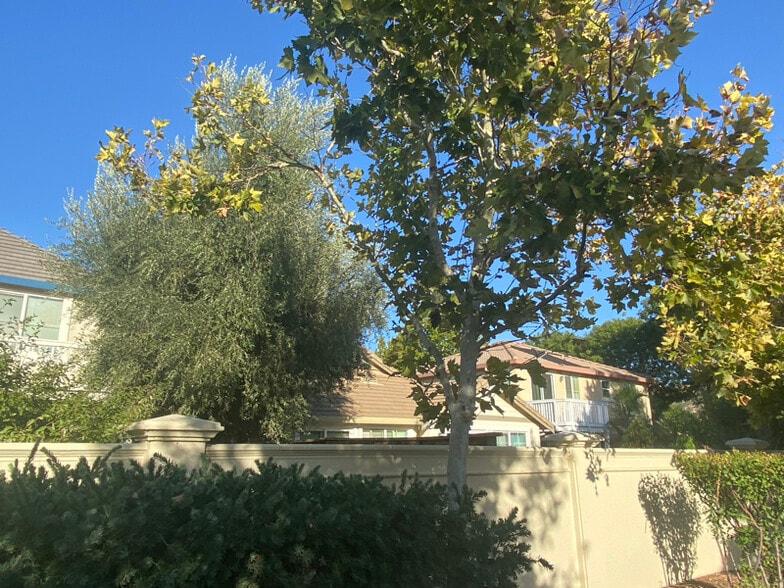 Building Photo - 9454 California Oak Cir