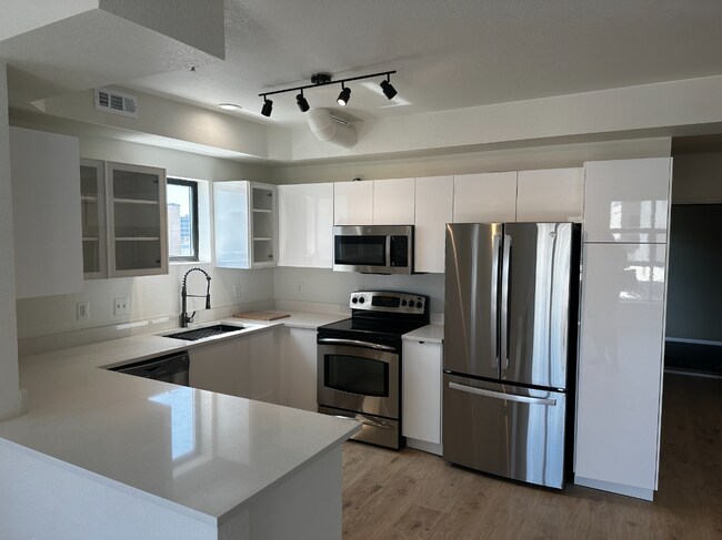 Building Photo - Fully-remodeled RiNo Townhome!