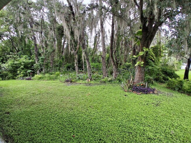 Building Photo - 12928 Terrace Springs Dr
