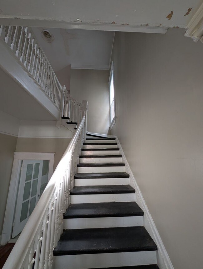 Building Photo - Huge 4 bedroom in prime downtown location!