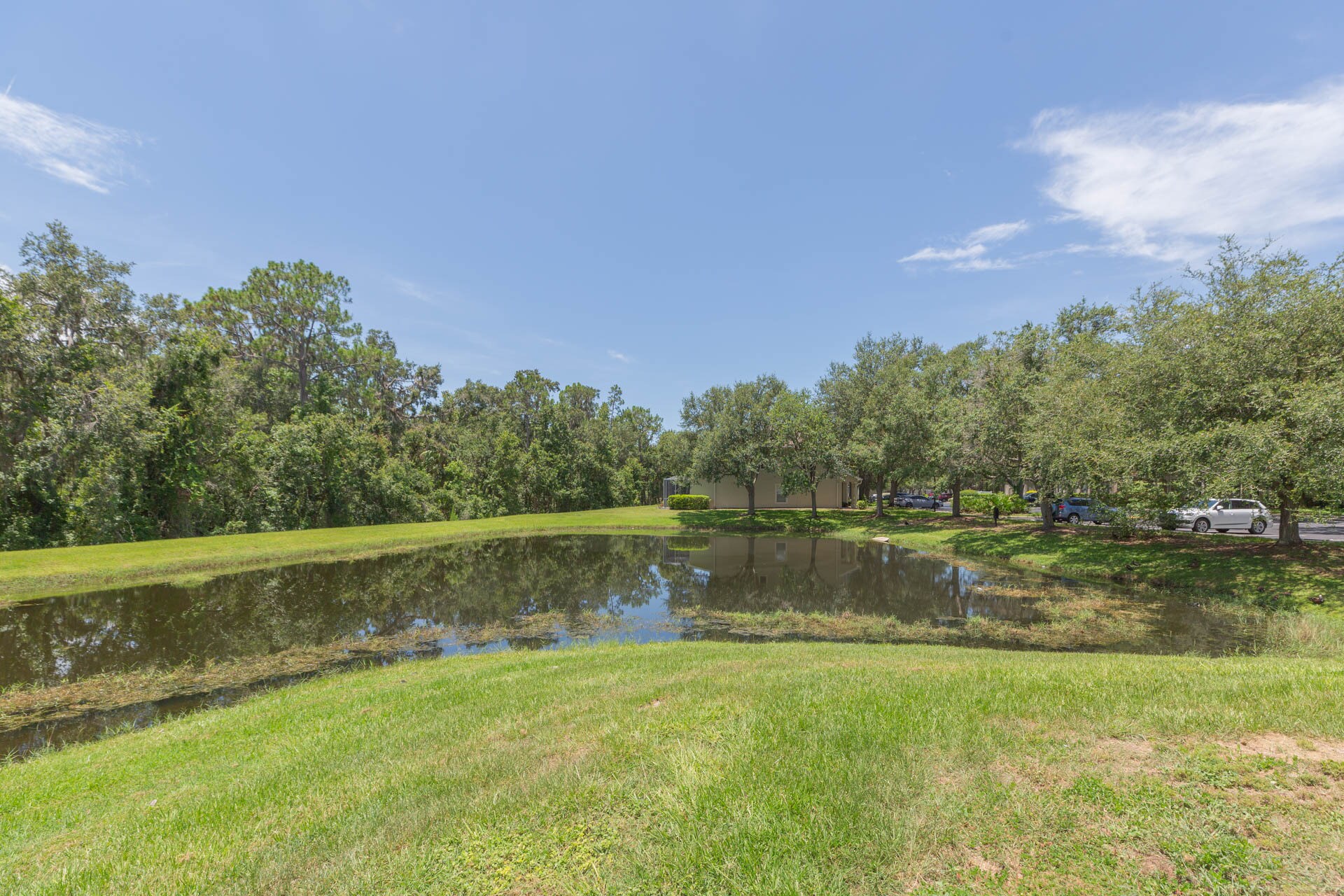 Building Photo - 15939 Fishhawk View Dr