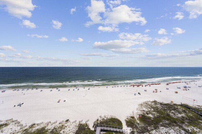 Building Photo - 24800 Perdido Beach Blvd
