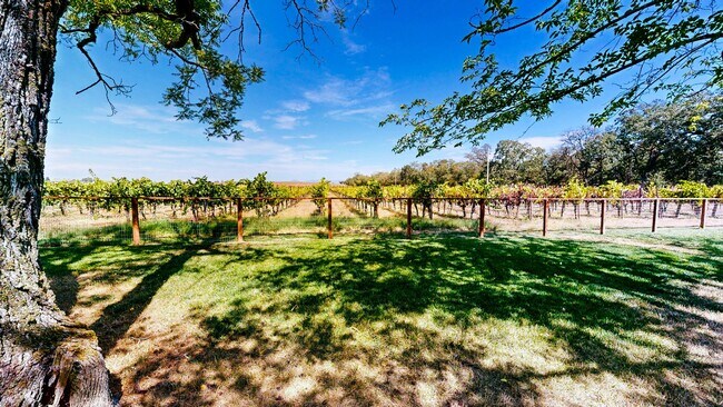 Building Photo - Country Charm Meets Vineyard Views! Two Bedroom Two bath with room to relax!
